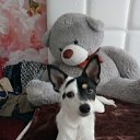 ���� ��������, �����, 67 ��� - ��������� 10 ������� 2023