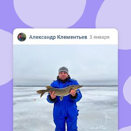 ���������, �����-���������, 46 ���