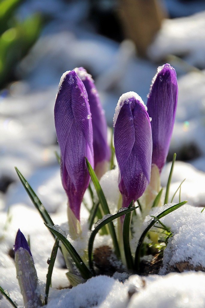  - !    ,     ...     ... - 4