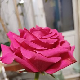 ���� Bazilio, �����������, 65 ��� - ��������� 16 ������� 2022