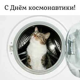 ���� ��, ��������� - ��������� 12 ������ 2022