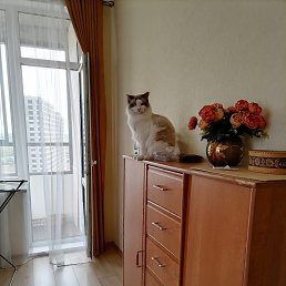 ���� Alex, ���������� - ��������� 28 ������� 2022