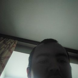 �����, ��������, 37 ���