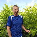  , -, 65  -  15  2023    