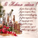 ���� ˸��, ������ ��������, 42 ���� - ��������� 1 ������ 2023 � ������ ������ ��������