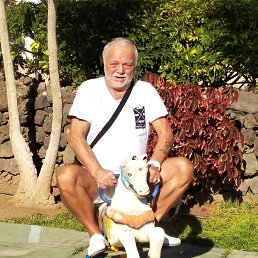 ���� ����, ������, 66 ��� - ��������� 3 ������� 2023