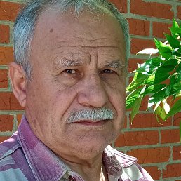 ����, ���������, 75 ���