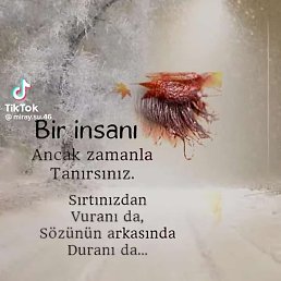 Gunay, ����, 35 ���