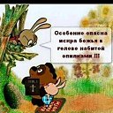 ���� ������, �����-���������, 53 ���� - ��������� 16 ������� 2022 � ������ �����������