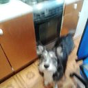 ���� ����, ������, 59 ��� - ��������� 21 ������ 2023 � ������ ���� ����������