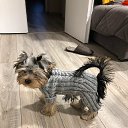 ���� Irin@, ��������� - ��������� 9 ����� 2022 � ������ ���� ����������