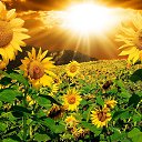 ���� M .U., ������ - ��������� 1 �������� 2022 � ������ �������