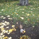 ���� �����, ���� - ��������� 30 ������� 2022 � ������ ������� 2022 ��������