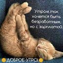 ���� ���������, ������-��-����, 50 ��� - ��������� 14 ��� 2022 � ������ ���� ����������