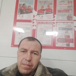 ���� �����, �����, 41 ��� - ��������� 16 ������� 2023