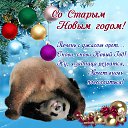 ���� �����, ����, 40 ��� - ��������� 24 ������ 2022 � ������ ���� ����������
