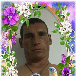 Алексей, 34, Баево