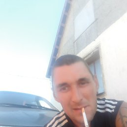 ������, ������, 44 ����