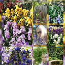 ���� ������, �����, 50 ��� - ��������� 12 ���� 2022 � ������ ���� ����������