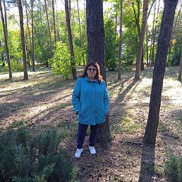 ����, ��������, 64 ����