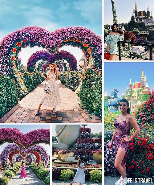 Dubai Miracle Garden -  ,    , .     ...