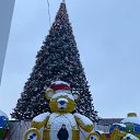 ���� ������, �����-���������, 55 ��� - ��������� 11 ������� 2023 � ������ ���� ����������
