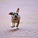���� �����������, �����-���������, 36 ��� - ��������� 19 ������� 2022 � ������ ���� ����������