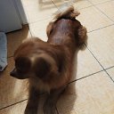 ���� ����, �������� - ��������� 9 ������� 2022 � ������ ���� ����������