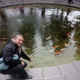 ����, ����, 55 ���