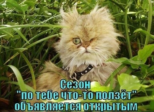   - 20  2022  16:35