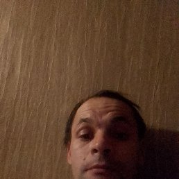 ���� �����, ������, 43 ���� - ��������� 2 ������ 2023