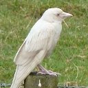 ���� �����, ���������, 54 ���� - ��������� 23 ������� 2022 � ������ ���� ����������