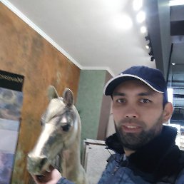 ����, ������, 40 ���