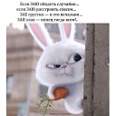  , , 85  -  10  2022    