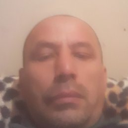 ����, ������, 52 ����