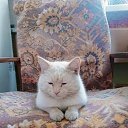 ���� Vitaly, ������, 37 ��� - ��������� 14 ������� 2023 � ������ ���� ����������
