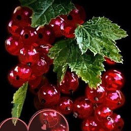 ���� ������, �������, 25 ��� - ��������� 8 ������ 2023