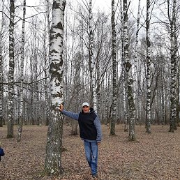 ���������, ������, 56 ���