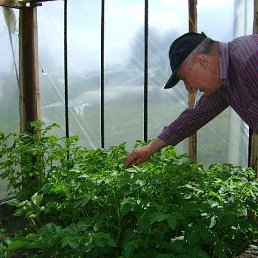 ���� Petr, �����, 75 ��� - ��������� 29 ������� 2022