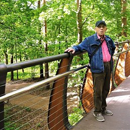 ������, �������, 73 ����