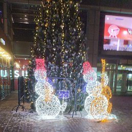 �����, ������, 53 ����