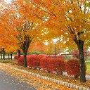 ���� �����, ���������� - ��������� 3 �������� 2022 � ������ ������ ��������