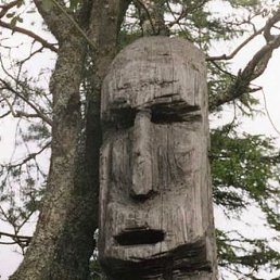 ������, ��-�������, 26 ���