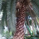 ���� Grigory, ��������, 55 ��� - ��������� 21 �������� 2022 � ������ ���� ����������