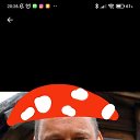 ���� �����, �������, 52 ���� - ��������� 9 ������� 2022 � ������ ���� ����������