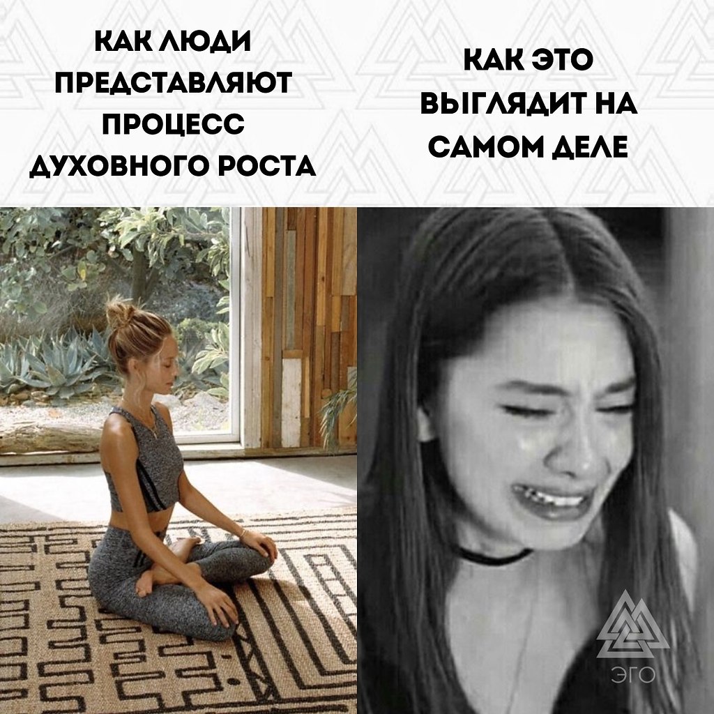  | ,  - 11  2022  11:54
