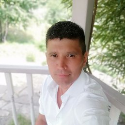 ����, ������, 49 ���