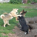 ���� ������, ������, 71 ��� - ��������� 14 ������� 2022