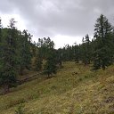 ���� �����, ������, 40 ��� - ��������� 26 ������� 2022 � ������ ������