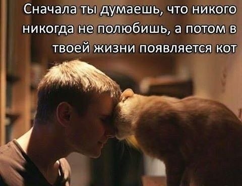    - 1  2022  18:43